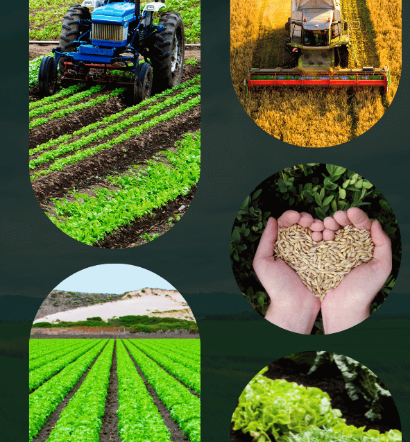 Agricultural Services
